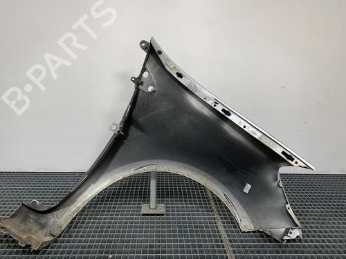 Left front fenders RENAULT CLIO III (BR0/1, CR0/1) 1.5 dCi (BR17, CR17) | BP28500198C41