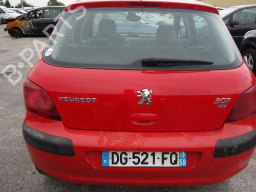 Left rear door PEUGEOT 307 (3A/C) 1.6 HDi 110 | BP20015272C4 
