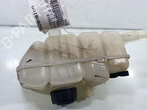 Used Expansion tank RENAULT MEGANE IV Hatchback (B9A/M/N_) 1.5 dCi 110 (B9A3) (110 hp) 29430952