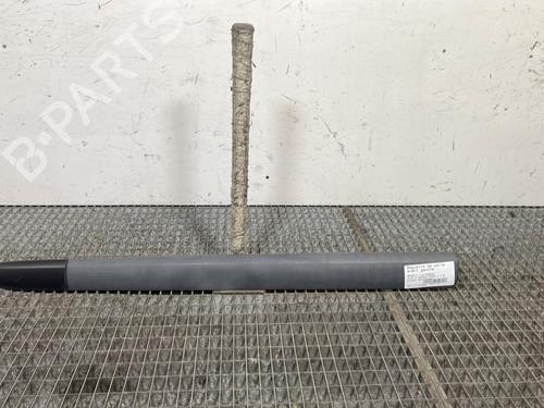 Used Door moulding trim RENAULT CLIO II (BB_, CB_) 1.5 dCi (B/C2J) (68 hp) 31281711