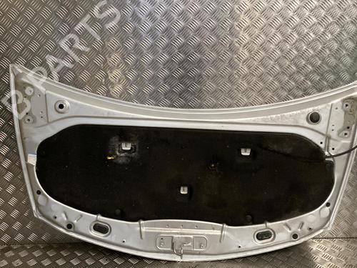 Hood RENAULT CLIO III (BR0/1, CR0/1) 1.5 dCi | BP21956604C1 