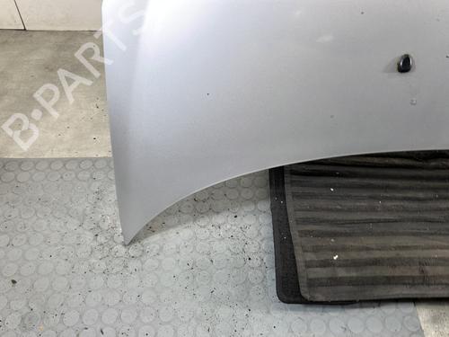 Hood PEUGEOT 206+ (2L_, 2M_) 1.4 HDi eco 70 | BP32063016C1 