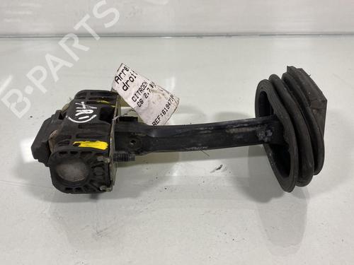 Hinge/Door check strap CITROËN C6 (TD_) 2.7 HDi | BP20025143C146