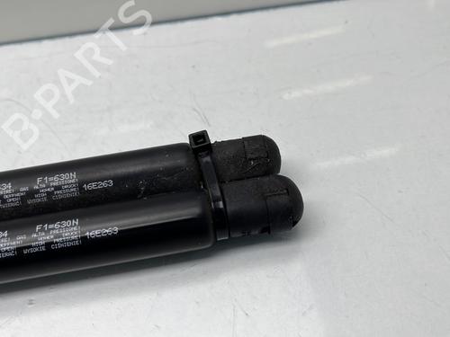 tailgate-lift-support-citroen-c4-grand-picasso-ii-da_-de_-2013-25446225 main image