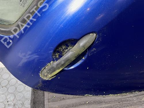 Right rear door RENAULT CLIO III (BR0/1, CR0/1) 1.5 dCi (BR17, CR17) | BP29842179C5
