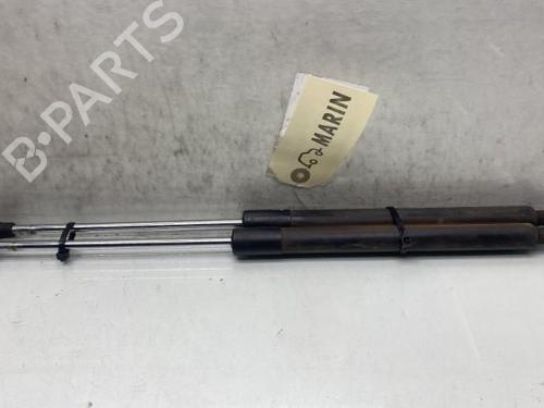 Used Tailgate lift support RENAULT CLIO III (BR0/1, CR0/1) [2005-2014]  19968483