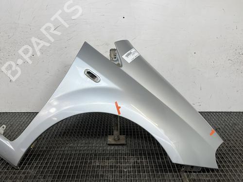 Used Right front fenders FIAT GRANDE PUNTO (199_) 1.3 D Multijet (75 hp) 29841448