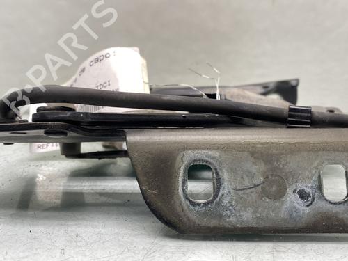 Hinge/Door check strap FORD FIESTA VI (CB1, CCN) 1.6 TDCi | BP29841788C146