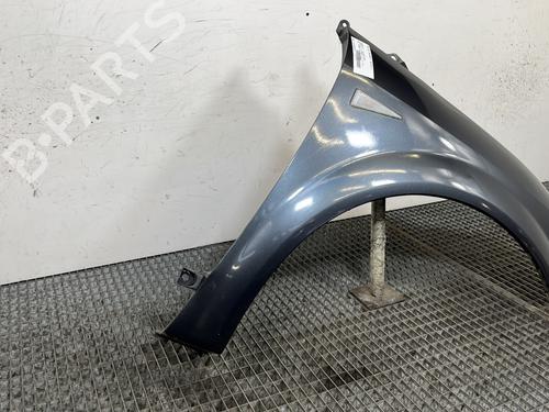 Right front fenders RENAULT SCÉNIC II (JM0/1_) 1.9 dCi (JM14) | BP29352828C42 