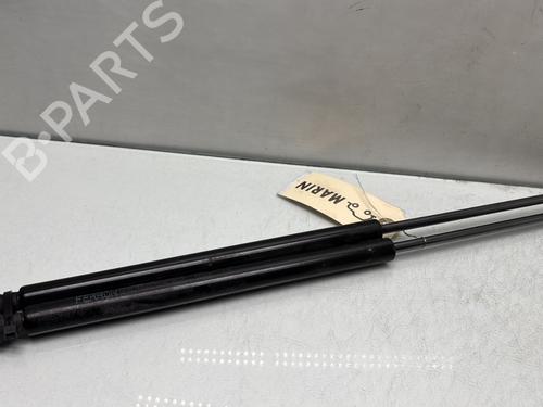 Tailgate lift support RENAULT LAGUNA III (BT0/1) 2.0 dCi (BT01, BT08, BT09, BT0E, BT0K, BT12, BT1C, BT1D,... | BP29286902C138 