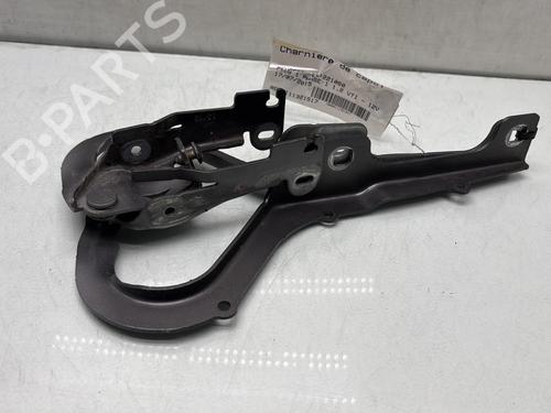 Hinge/Door check strap PEUGEOT 2008 I (CU_) 1.2 VTi | BP28522818C146
