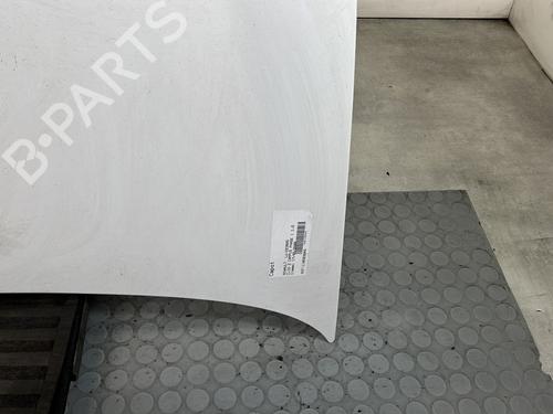 Hood RENAULT CLIO II (BB_, CB_) 1.5 dCi (B/C2J) | BP30171546C1