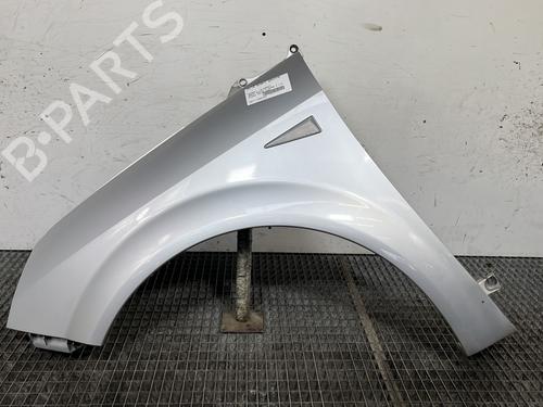 left-front-fenders-renault-grand-scenic-ii-jm01_-2004-2005-2006-2007-2008-2009-32062773 main image