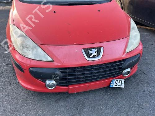 Front left lock PEUGEOT 307 (3A/C) 1.6 HDi 110 | BP19969337C98 