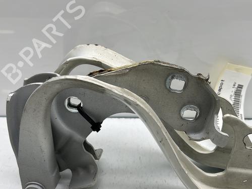 Hinge/Door check strap FIAT 500 (312_) 1.3 D Multijet (312AXE1A) | BP23765118C146