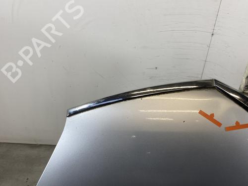 Hood CITROËN C4 Grand Picasso I (UA_) 1.6 HDi | BP21785071C1