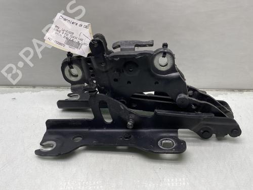 Hinge/Door check strap BMW 3 Touring (F31) 318 d | BP21005225C146 