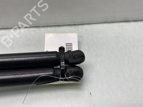 Tailgate lift support KIA SPORTAGE IV (QL, QLE) 1.7 CRDi | BP25813879C138