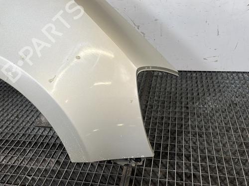 Right front fenders RENAULT CLIO III (BR0/1, CR0/1) 1.5 dCi (BR17, CR17) | BP29841693C42