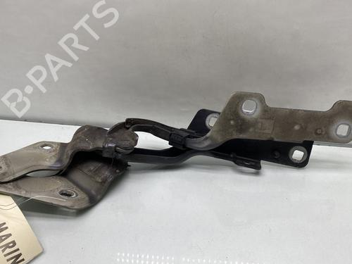 Hinge/Door check strap RENAULT CLIO III (BR0/1, CR0/1) 1.5 dCi (BR17, CR17) | BP25652827C146 