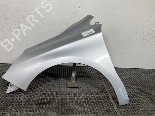 Guarda-lamas esquerdo CITROËN C4 II (NC_) 1.6 HDi 90 (92 hp) 30535632