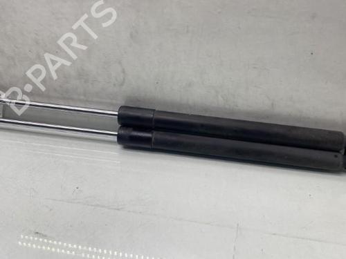 Tailgate lift support RENAULT CLIO III (BR0/1, CR0/1) 1.5 dCi (BR17, CR17) | BP19959796C138 