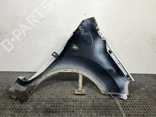Left front fenders RENAULT TWINGO II (CN0_) 1.5 dCi (CN0E) | BP30813385C41