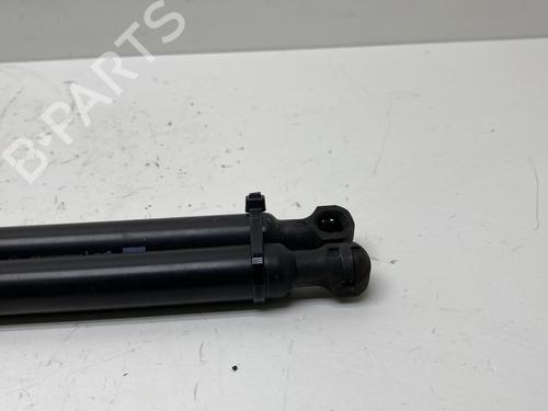 Gassdemper Bakluke RENAULT CLIO IV (BH_) 1.5 dCi 75 (75 hp) 19975302