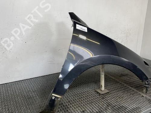 Left front fenders HYUNDAI SANTA FÉ II (CM) 2.2 CRDi | BP19960524C41 