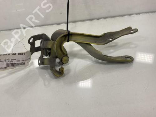 Hinge/Door check strap PEUGEOT 107 (PM_, PN_) 1.0 | BP19969058C146 