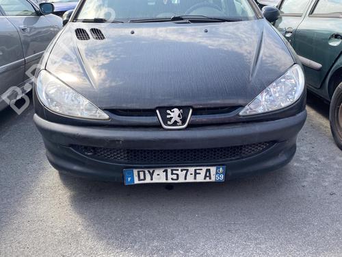 Right front door PEUGEOT 206 Hatchback (2A/C)  | BP19956771C3 