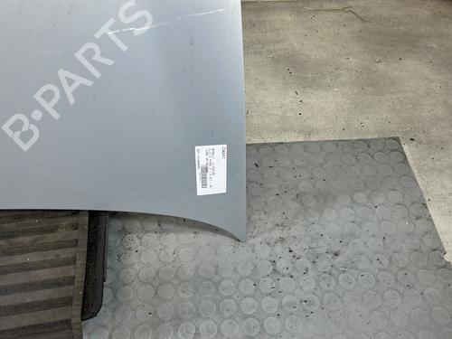 Hood RENAULT CLIO II (BB_, CB_) 1.5 dCi (B/CB07) | BP28279372C1 