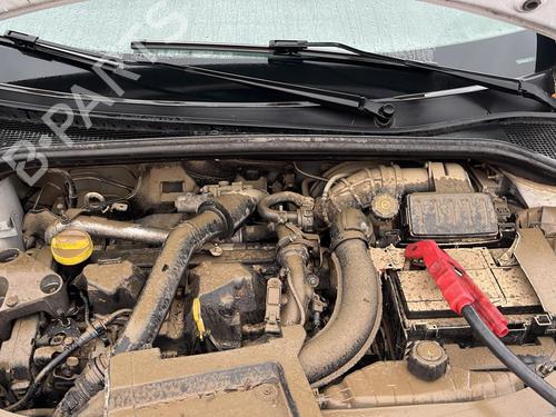 Right front door RENAULT CLIO III (BR0/1, CR0/1) 1.5 dCi (C/BR0G, C/BR1G) | BP21960549C3 