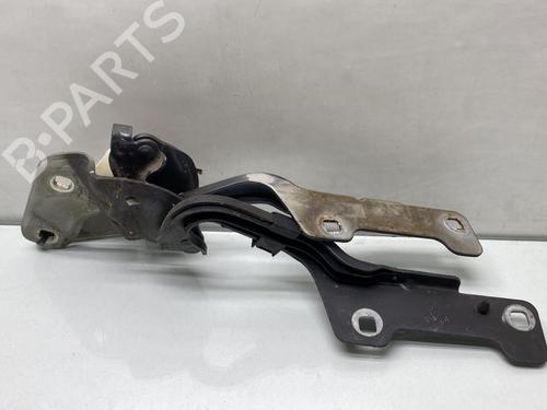 Hinge/Door check strap RENAULT CLIO III (BR0/1, CR0/1) 1.5 dCi (BR17, CR17) | BP25652827C146 