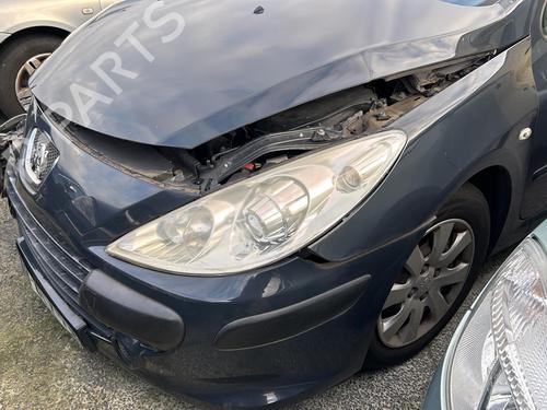 Left front door PEUGEOT 307 (3A/C) 1.6 16V | BP19953237C2 