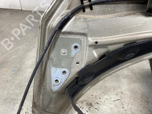 Hood RENAULT SCÉNIC III (JZ0/1_) 1.9 dCi (JZ0J, JZ1J, JZ1K, JZ1S) | BP21959620C1