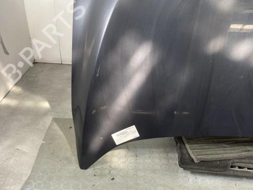 Hood RENAULT MEGANE III Hatchback (BZ0/1_, B3_) 1.5 dCi (BZ0C) | BP19950286C1 