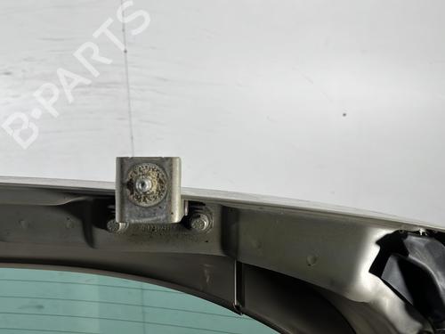 Bakluke CC/Kombi-Kupé RENAULT SCÉNIC II (JM0/1_) 1.9 dCi (JM14) | BP29968449C6