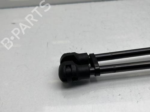 Tailgate lift support PEUGEOT 2008 II (UD_, US_, UY_, UJ_, UR_, UC_) e-2008 (UKZKXZ) | BP20659876C138