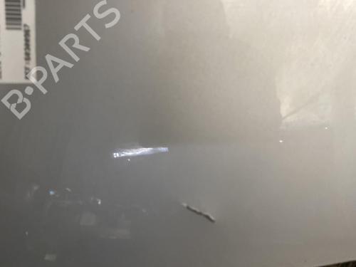 Hood RENAULT CLIO III (BR0/1, CR0/1) 1.5 dCi | BP21956604C1 