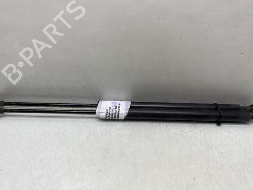 Used Tailgate lift support RENAULT SCÉNIC III (JZ0/1_) 1.5 dCi (110 hp) 23765270