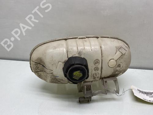Used Expansion tank RENAULT TRAFIC III Van (FG_) 1.6 dCi 125 (FGMH) (125 hp) 26179438