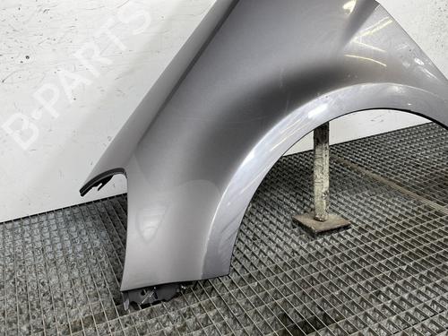 Left front fenders RENAULT CLIO III (BR0/1, CR0/1) 1.5 dCi (C/BR0G, C/BR1G) | BP29329274C41 