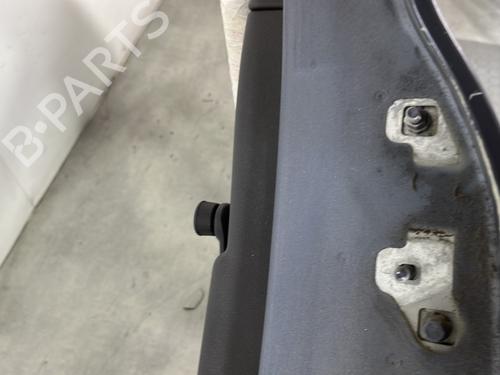 Left rear door RENAULT CLIO III (BR0/1, CR0/1) 1.5 dCi (BR17, CR17) | BP29028024C4 