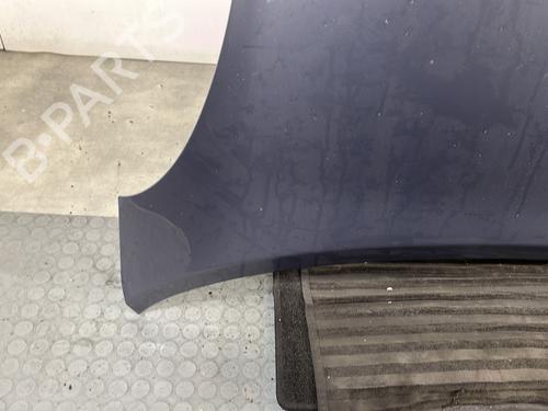 Hood NISSAN MICRA III (K12) 1.2 16V | BP29841646C1 