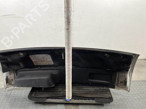 Hood FIAT DUCATO Van (250_) 150 Multijet 2,3 D | BP29587340C1 