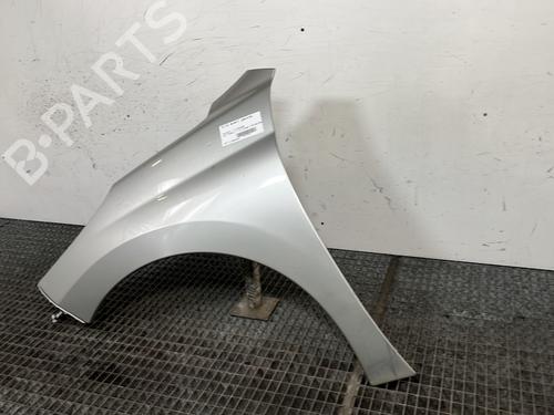 Left front fenders PEUGEOT 207 (WA_, WC_) 1.6 HDi | BP29744671C41