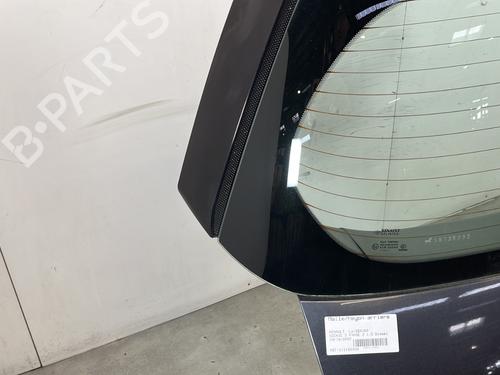 Tailgate RENAULT SCÉNIC II (JM0/1_) 1.5 dCi (JM1E, JM16) | BP31880960C6 