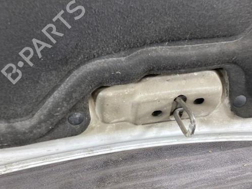 Hood RENAULT KANGOO Express (FC0/1_) D 65 1.9 (FC0E, FC02, FC0J, FC0N) | BP19958869C1 