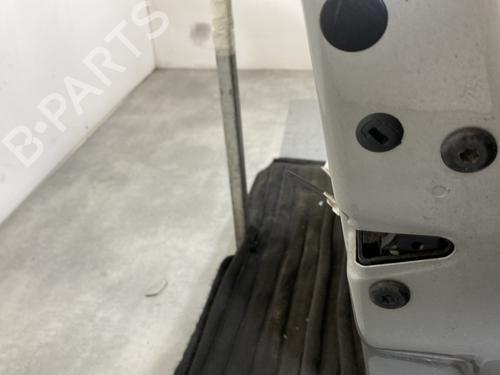 Right front door SKODA FABIA II (542) 1.2 TSI | BP20933346C3 